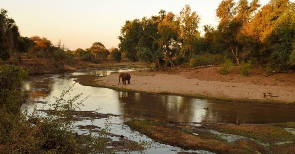 kruger-national-park