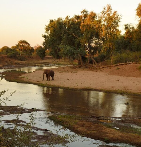 kruger-national-park