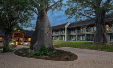 Exterior view of Skukuza Safari Lodge buildings nestled under large indigenous trees